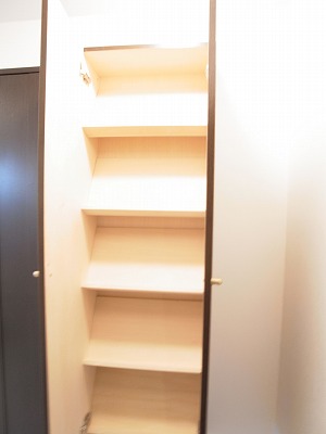 Receipt. Large capacity shoe box