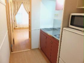 Kitchen. Stove two-burner electric stove Rajientohita