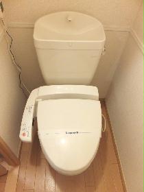 Toilet. Warm water washing toilet seat
