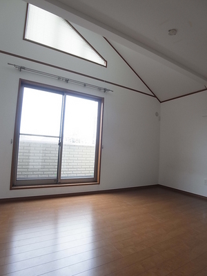 Other. Is it there is a high and airy ceiling. (Western-style about 8.5 Pledge)