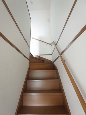 Other. Stairs with a handrail. It is a bit of thoughtfulness is happy.