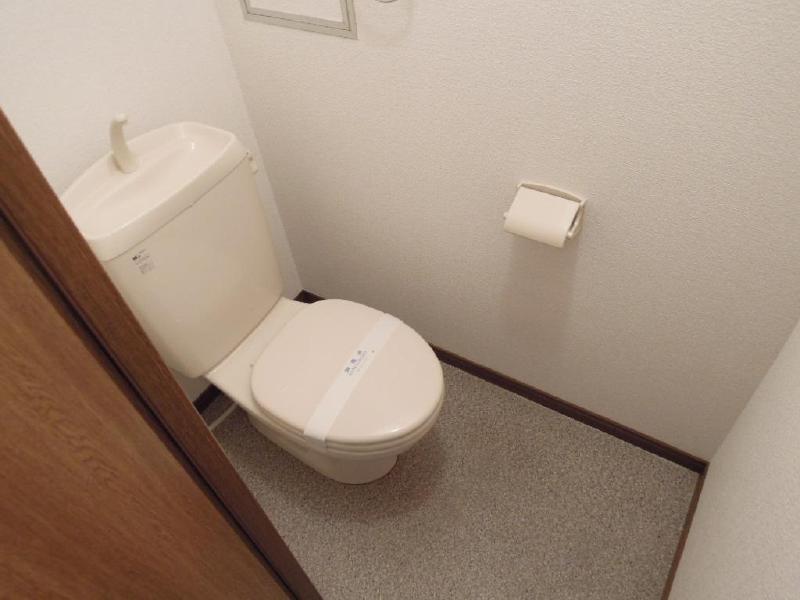 Toilet. A beautiful state also cleaning toilet