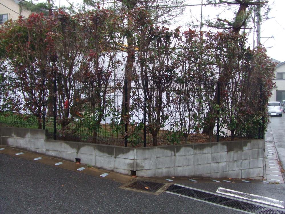 Local land photo. Local (12 May 2013) Shooting