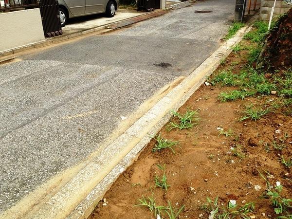 Local photos, including front road