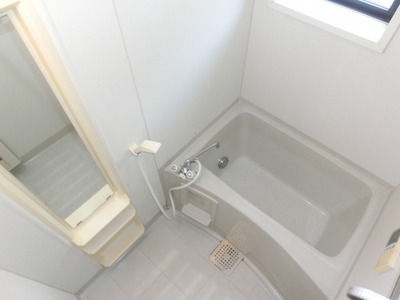 Bath. There bathroom window