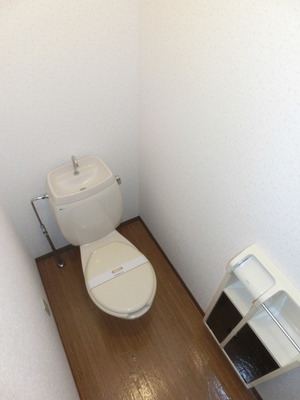Toilet. Toilet