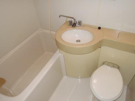 Bath. Since the bus toilet that together is cleaning is easy