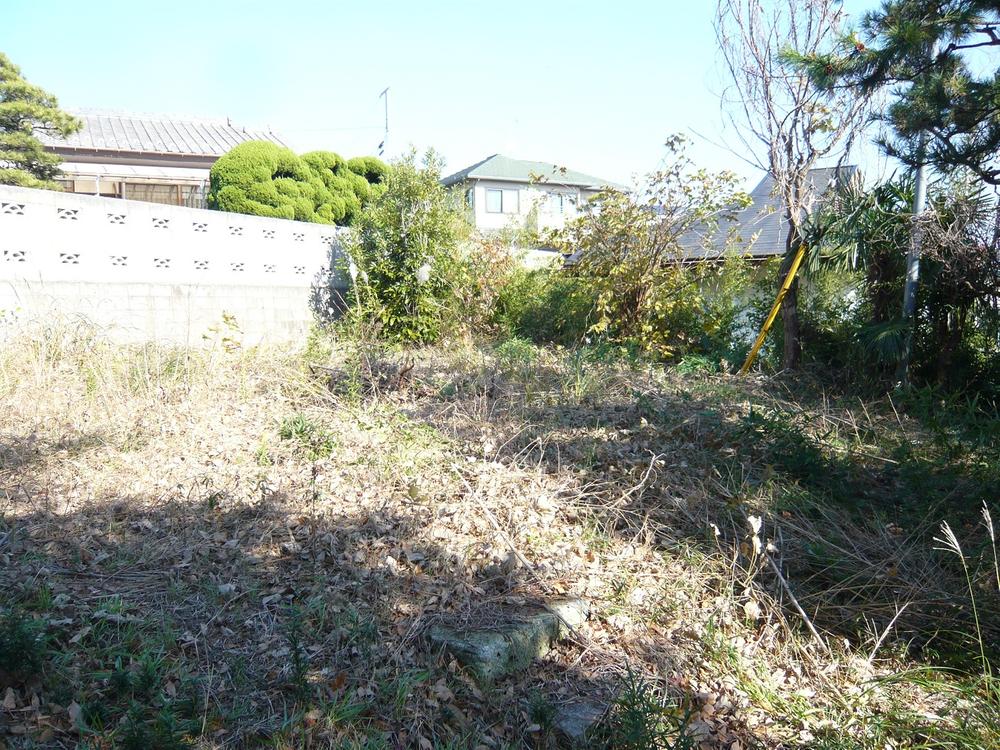 Local land photo. Local (12 May 2013) Shooting