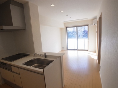 Kitchen. IH cooking heater, three-necked ・ System kitchen with grill.