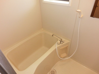 Bath. Spacious bathroom