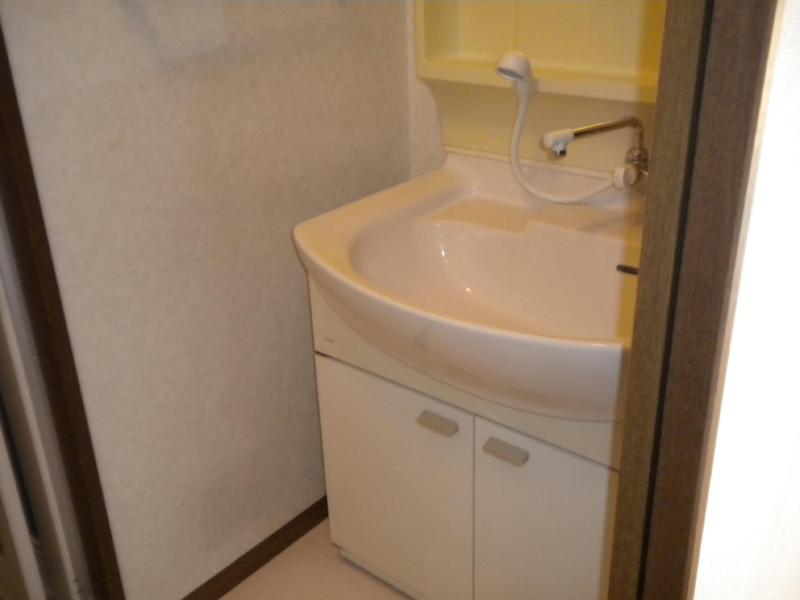 Washroom. Shampoo dresser