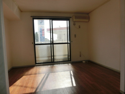 Living and room. Bright living room