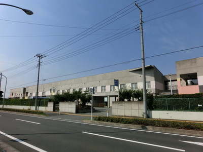 Other. 1000m, up to a total playground (Other)