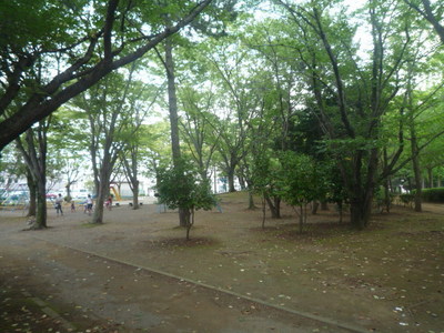 park. 5m to solitary pine tree park (park)