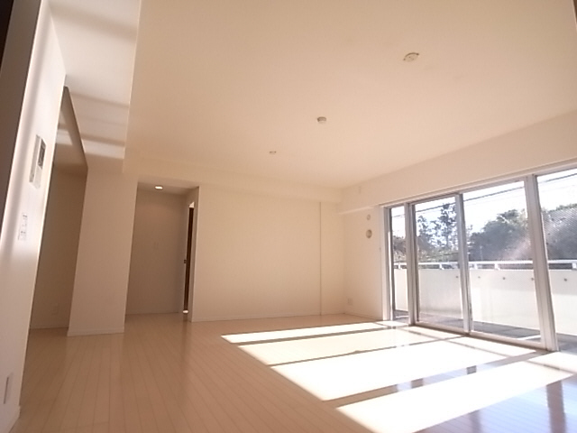 Living and room. Spacious living room it is going to be a gathering place of the family.