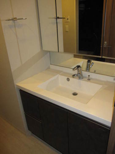 Washroom. Vanity (interior ago)