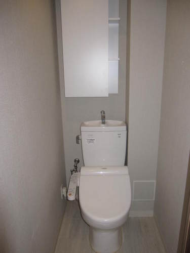 Toilet. Toilet (interior ago)