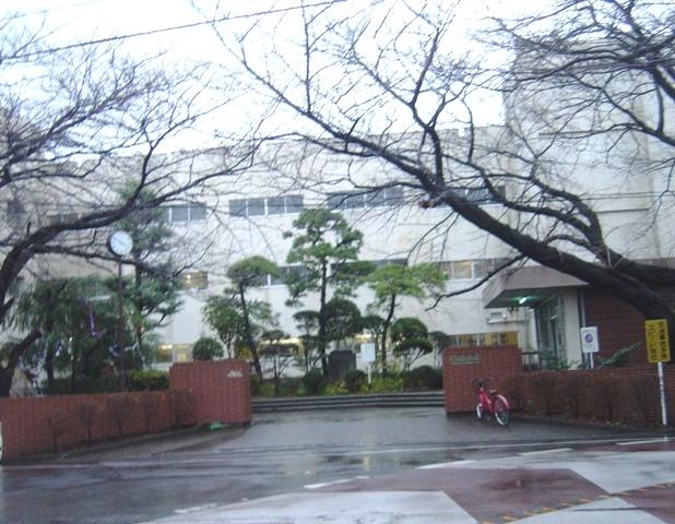 Junior high school. Midoricho 435m until junior high school