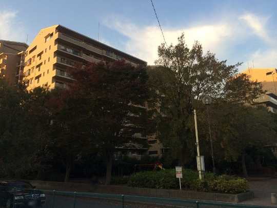 Local appearance photo. ○ 5 Ichibankan - building appearance (southeast side) - Rather than building on the front, There is a feeling of opening.