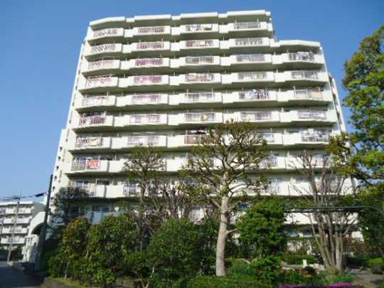 Local appearance photo. Property appearance