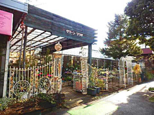 Local land photo. appearance