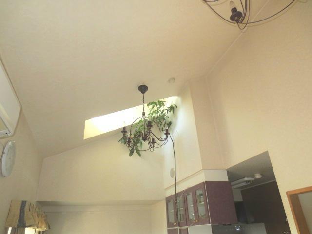 Living. The ceiling height is not attractive to other living