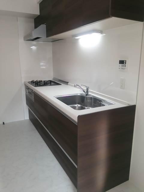 Kitchen. Indoor (12 May 2013) Shooting