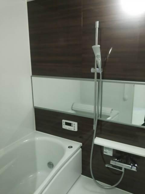 Bathroom. Indoor (12 May 2013) Shooting