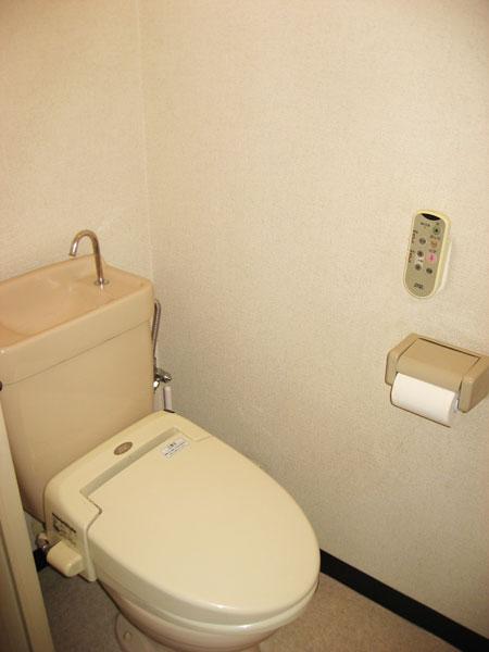 Toilet. Shower is cleaning with a toilet.