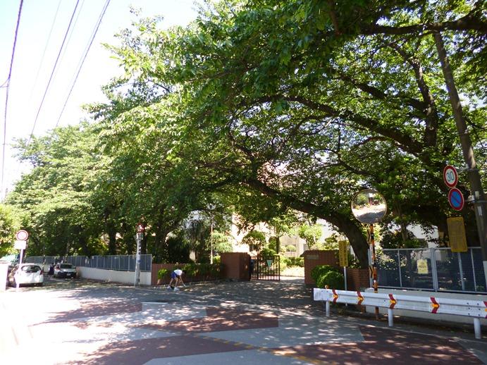 Primary school. Midoricho until elementary school 200m