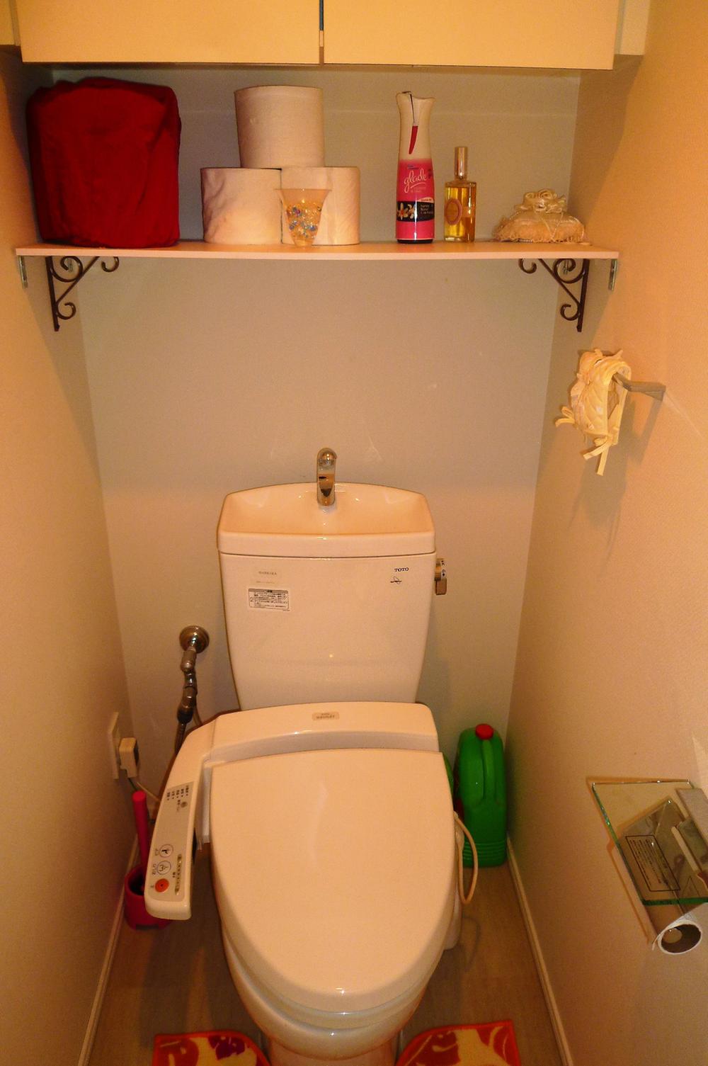 Toilet. Indoor (12 May 2012) shooting