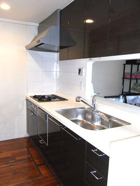 Kitchen. Water purifier system kitchen with integrated disposer