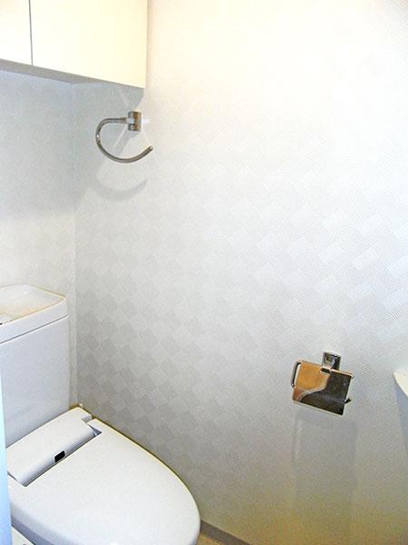 Toilet. Restroom with a hanging cupboard