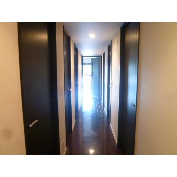Other introspection. Corridor