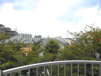 View photos from the dwelling unit