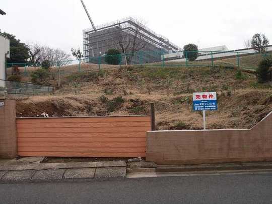 Local land photo. Local Photos