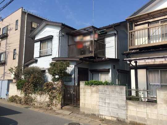 Local land photo. Appearance (1)