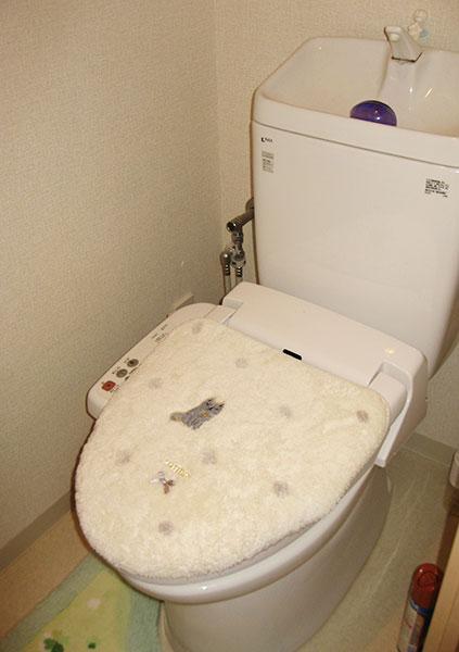 Toilet