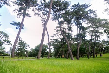 park. 690m to Inage park