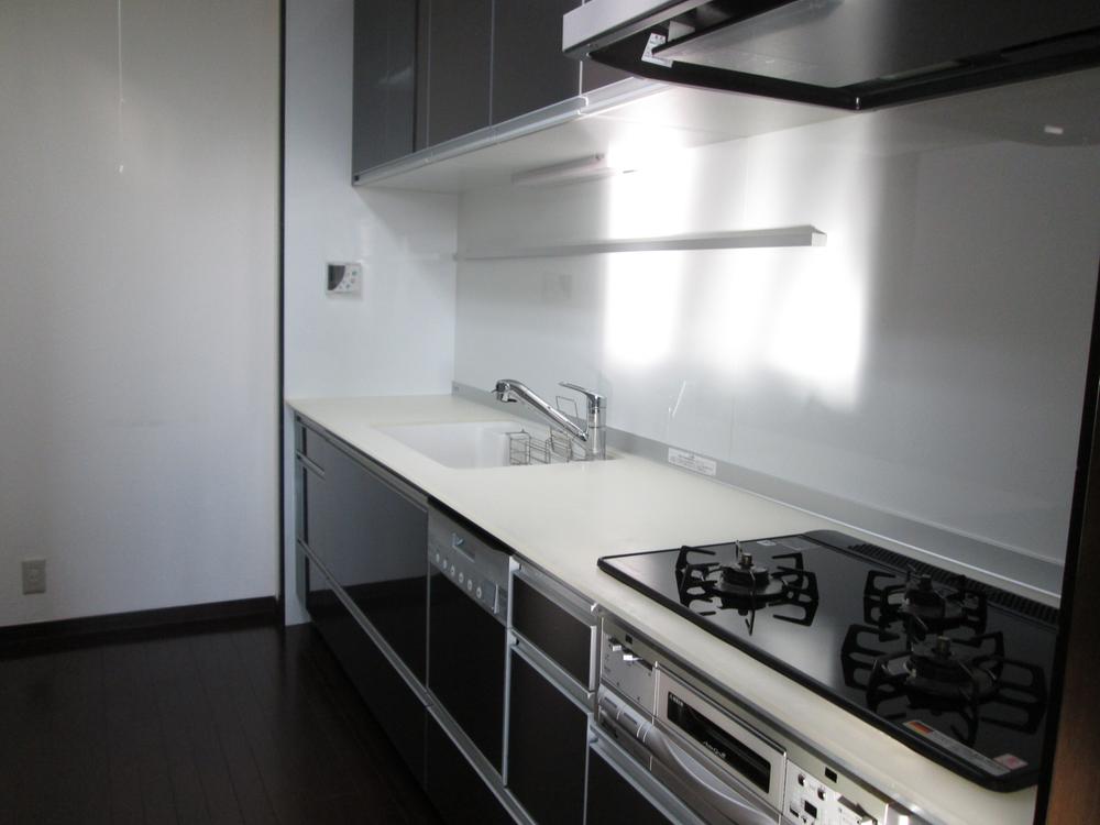 Kitchen. Indoor (11 May 2013) Shooting