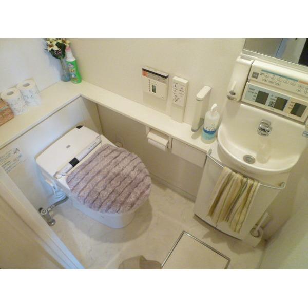 Toilet. Multi-function toilet health meter or the like is attached