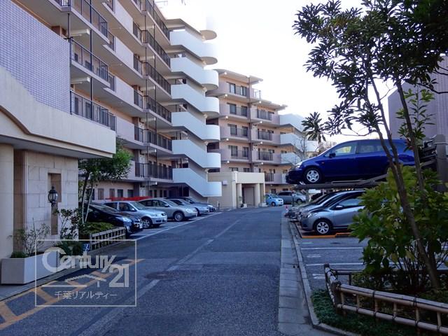 Parking lot. Common areas