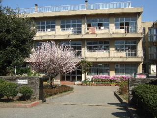 Primary school. Ayamedai 800m up to elementary school