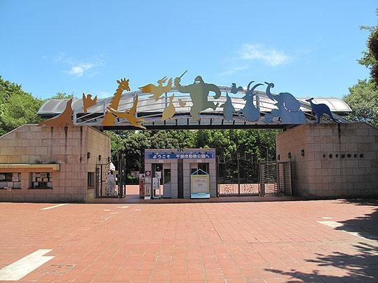 Other Environmental Photo. 4200m to Chiba Zoological Park