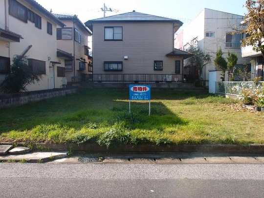 Local land photo. Local photo (from local northwest side)