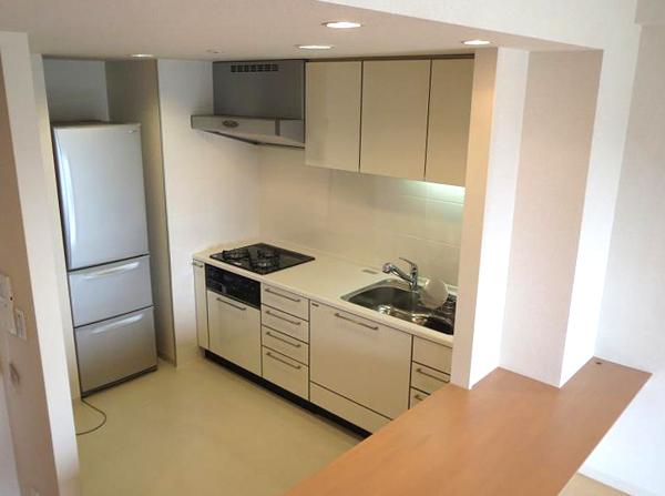 Kitchen. Kitchen of bright impression that white was the keynote.