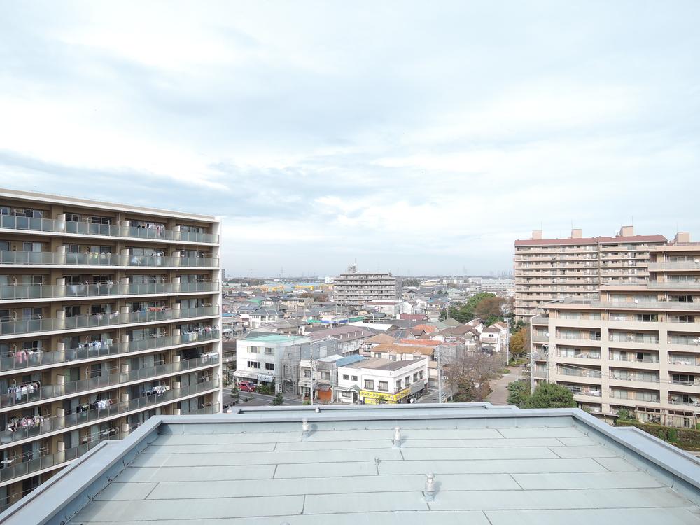 Other. View