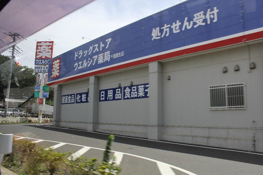 Drug store. Uerushia 491m to Chiba Ensei shop