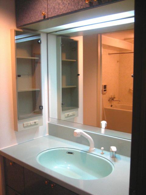 Wash basin, toilet. Shortening the morning of time in the shampoo dresser!