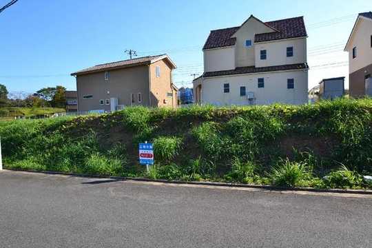 Local land photo. Local photo (east 3-31-7)